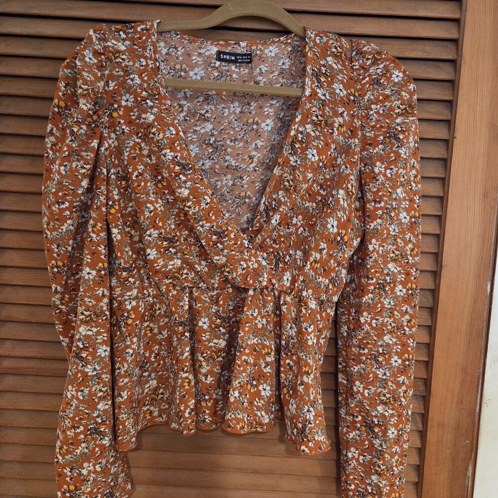 Rust colored blouse with gigot sleeves